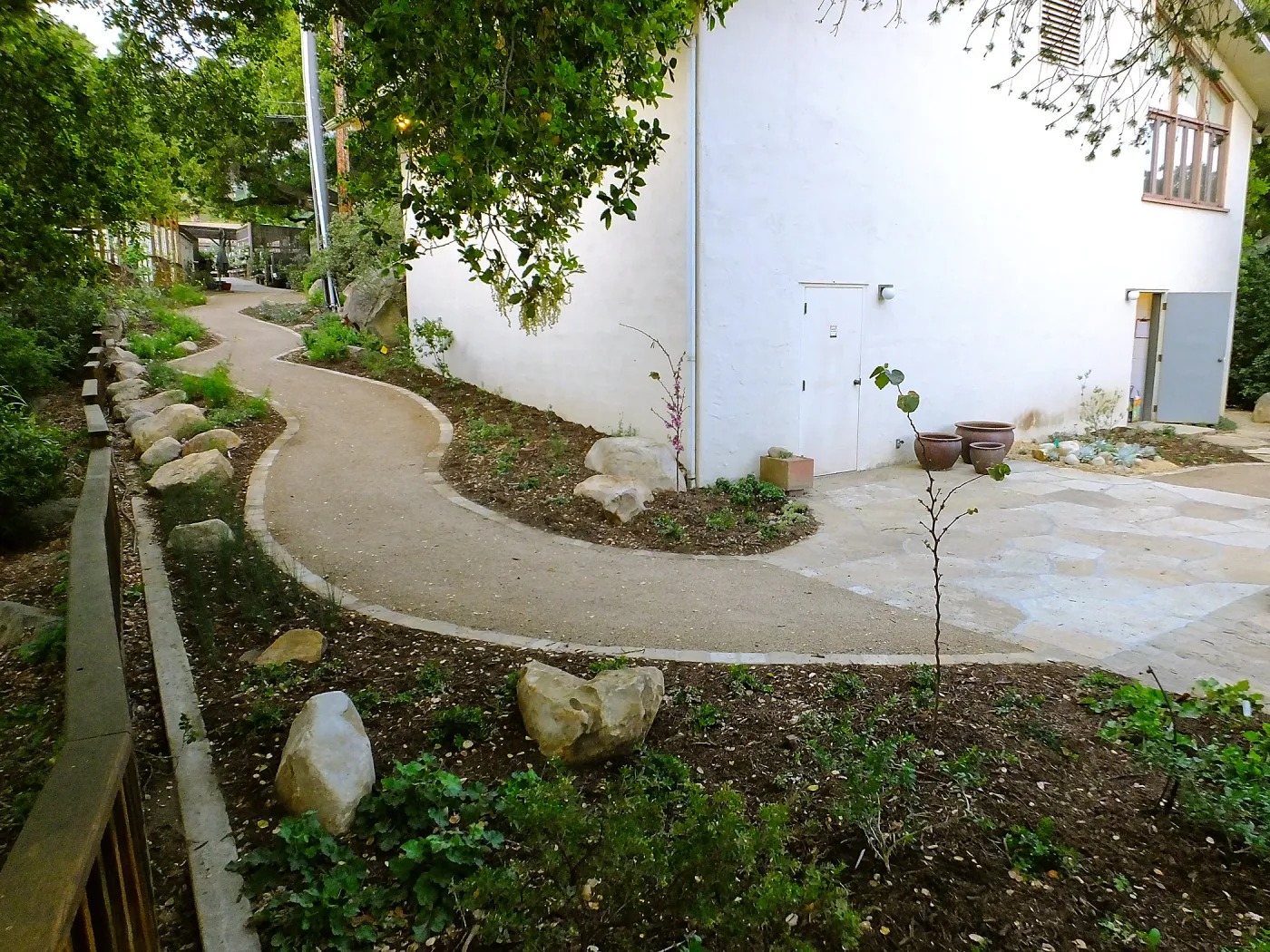 Home Demonstration Garden Renovation, view 31, looking towards southwest corner of Herbarium