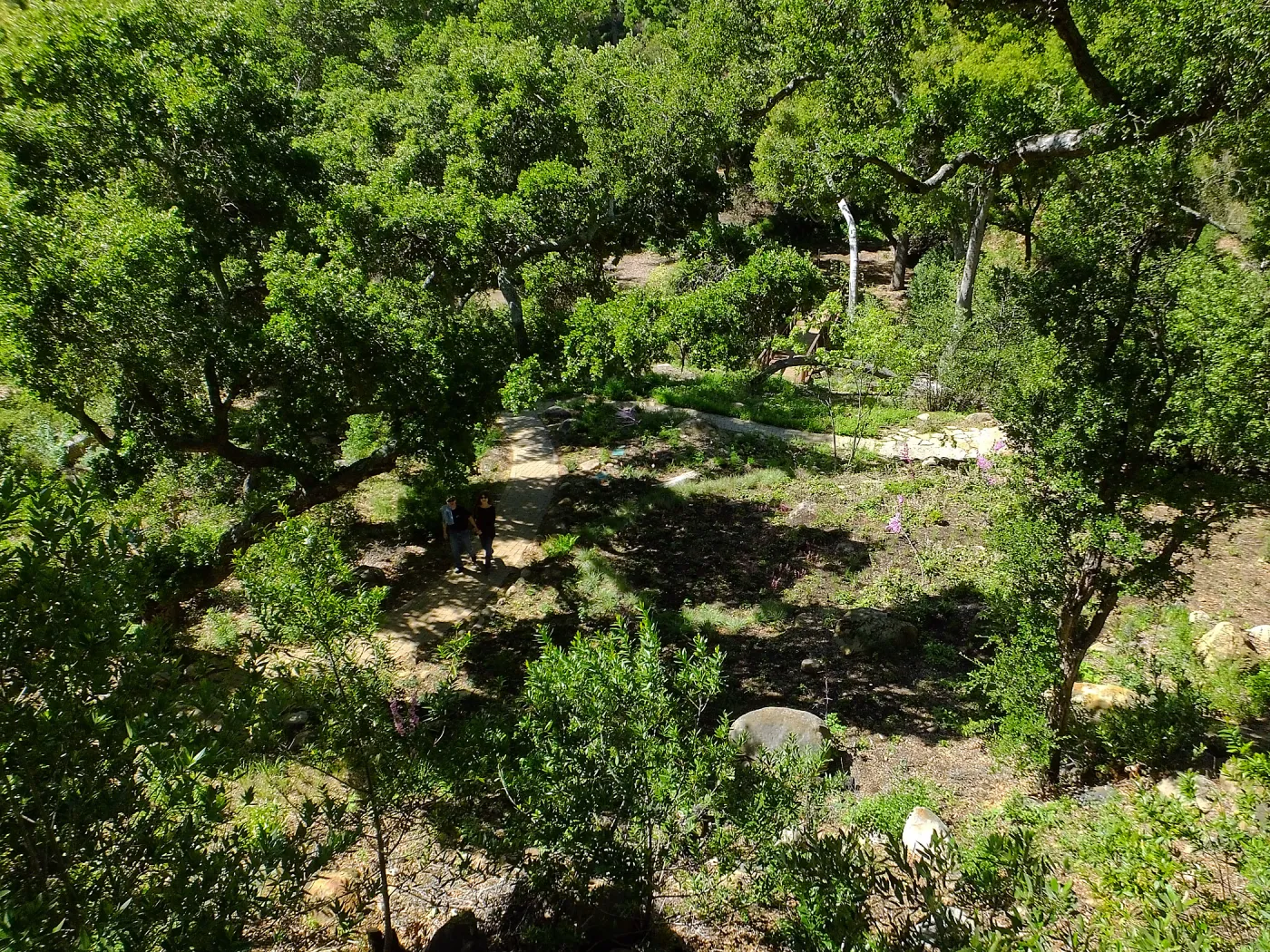 Wooded Dell, view from picnic area