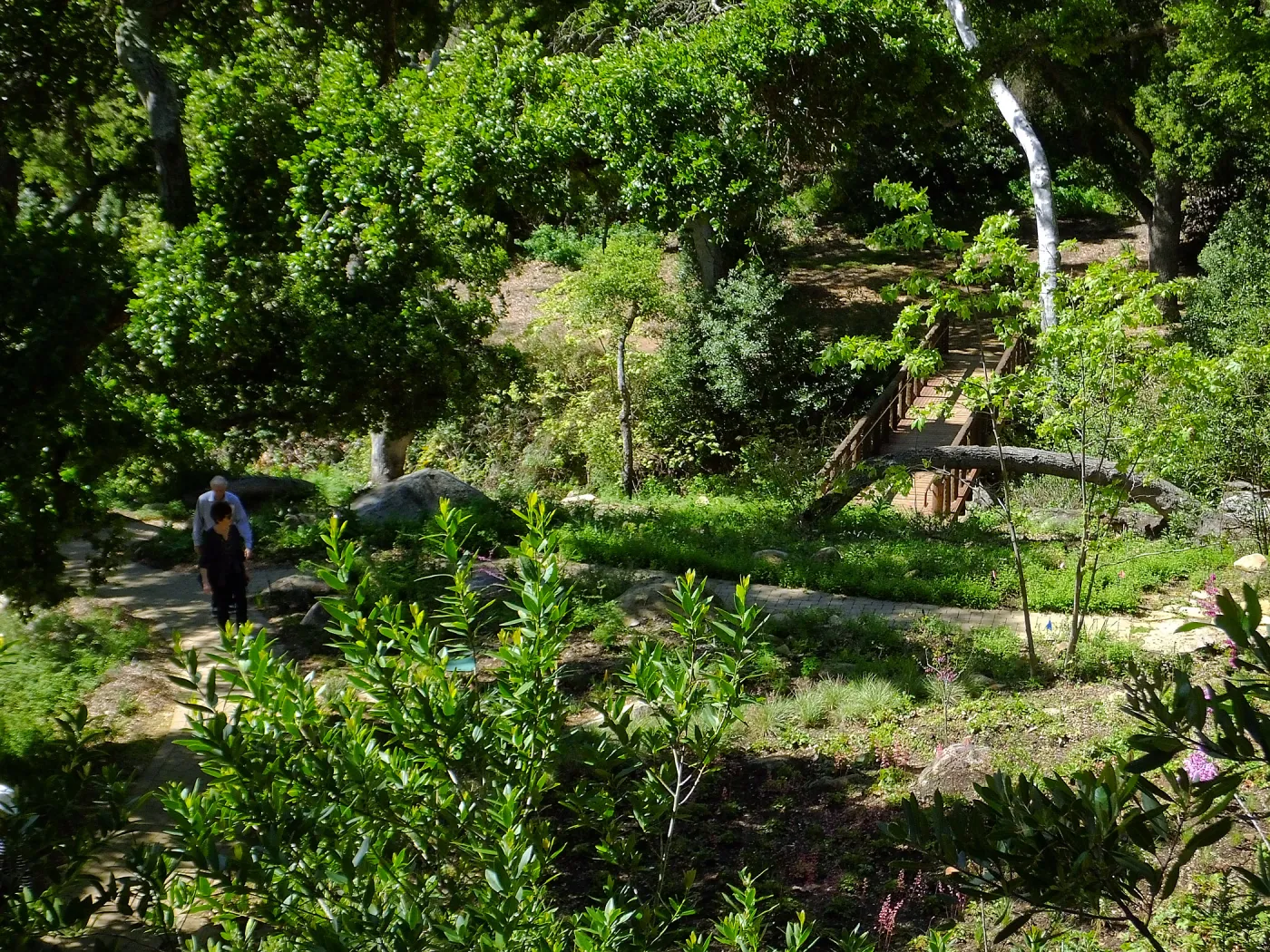 Wooded Dell, view from picnic area