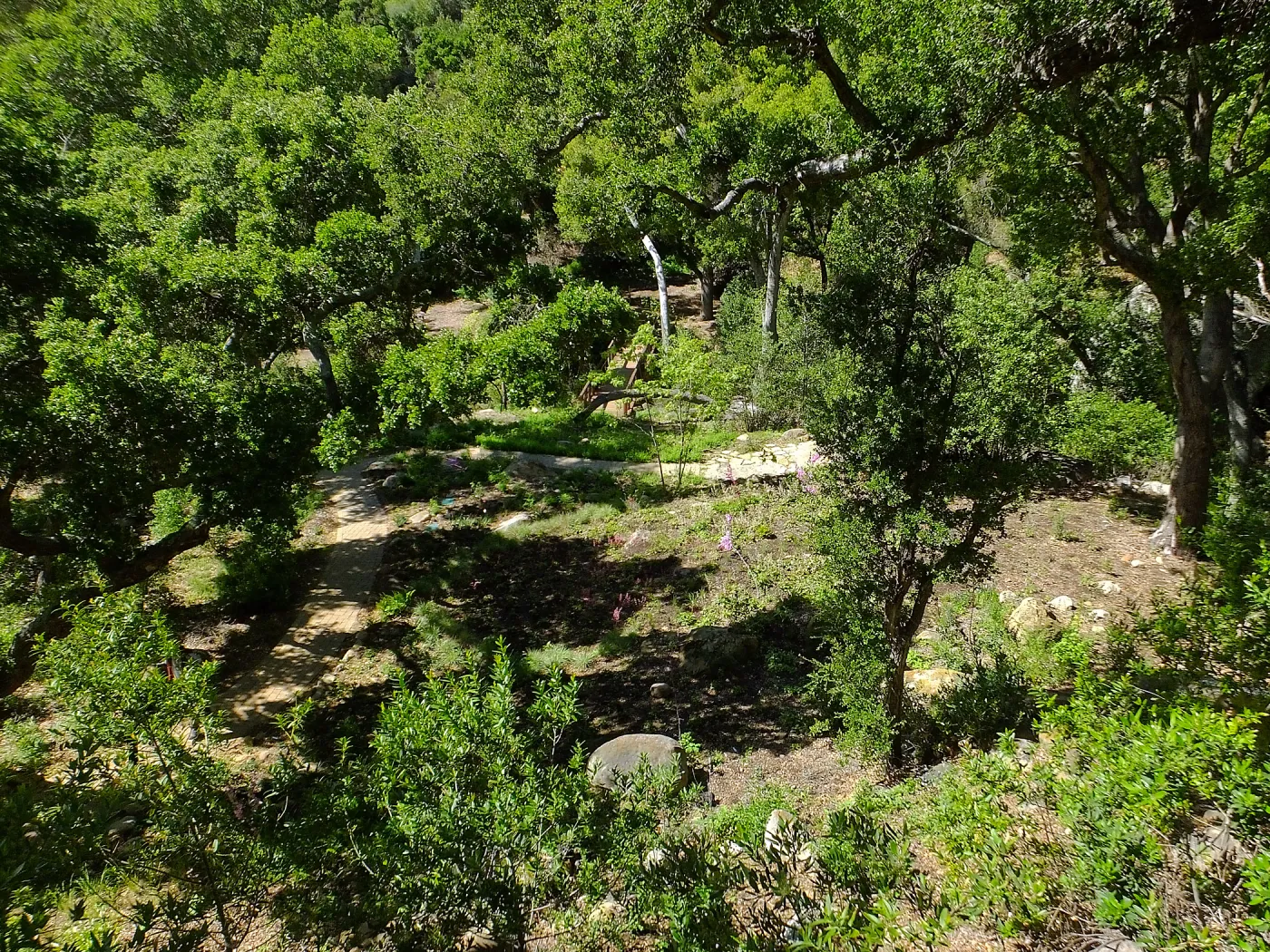 Wooded Dell, view from picnic area