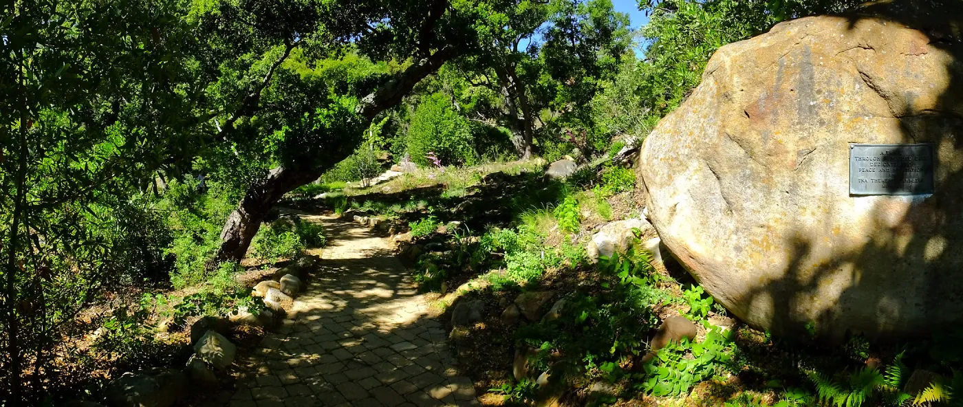 Wooded Dell, panoramic view along Campbell Trail