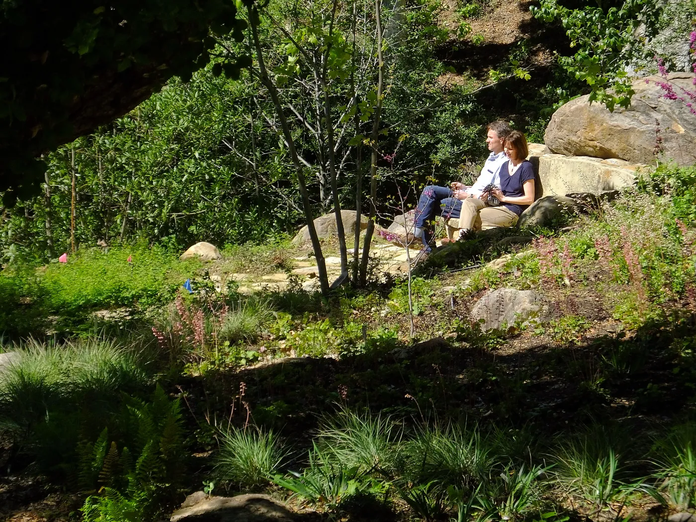 Wooded Dell, visitors on Campbell Bench