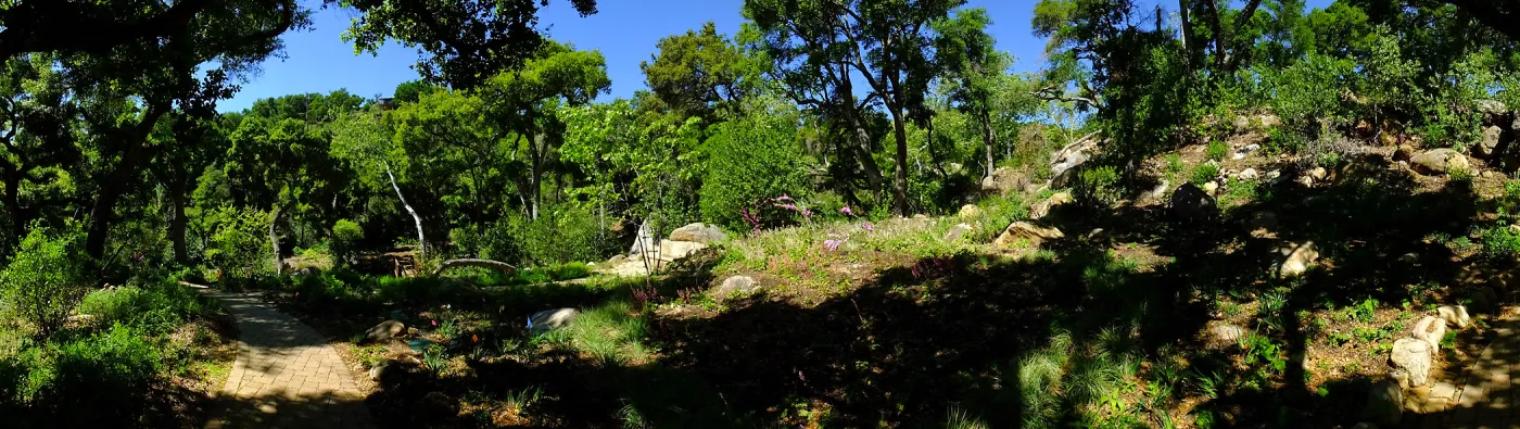 Wooded Dell panorama