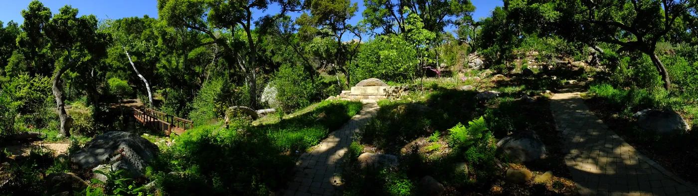 Wooded Dell panorama with Campbell Bridge and Campbell Bench