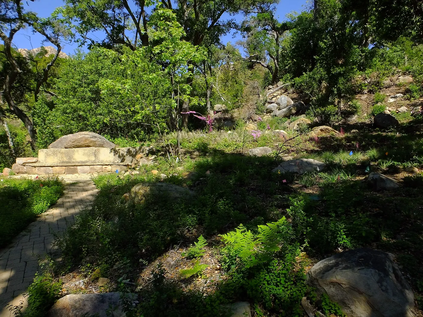 Wooded Dell, Campbell Bench
