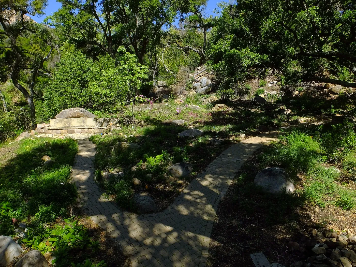 Wooded Dell