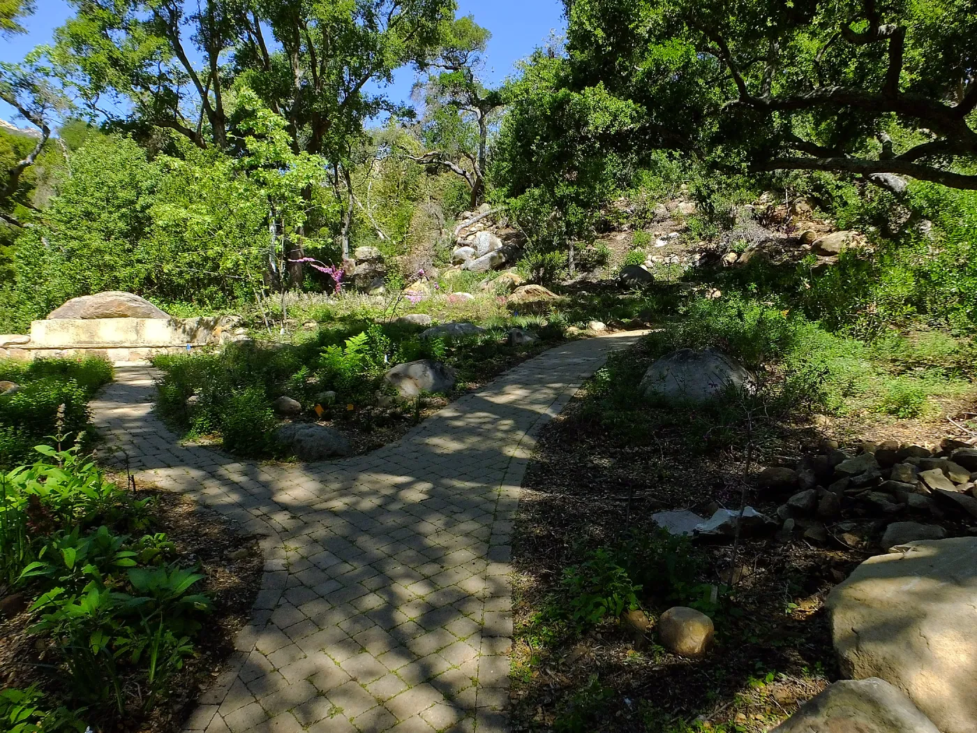 Wooded Dell
