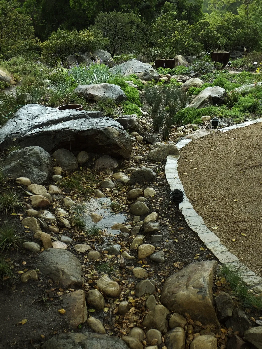 Rainfall collecting in bioswale, Home Demonstration Garden