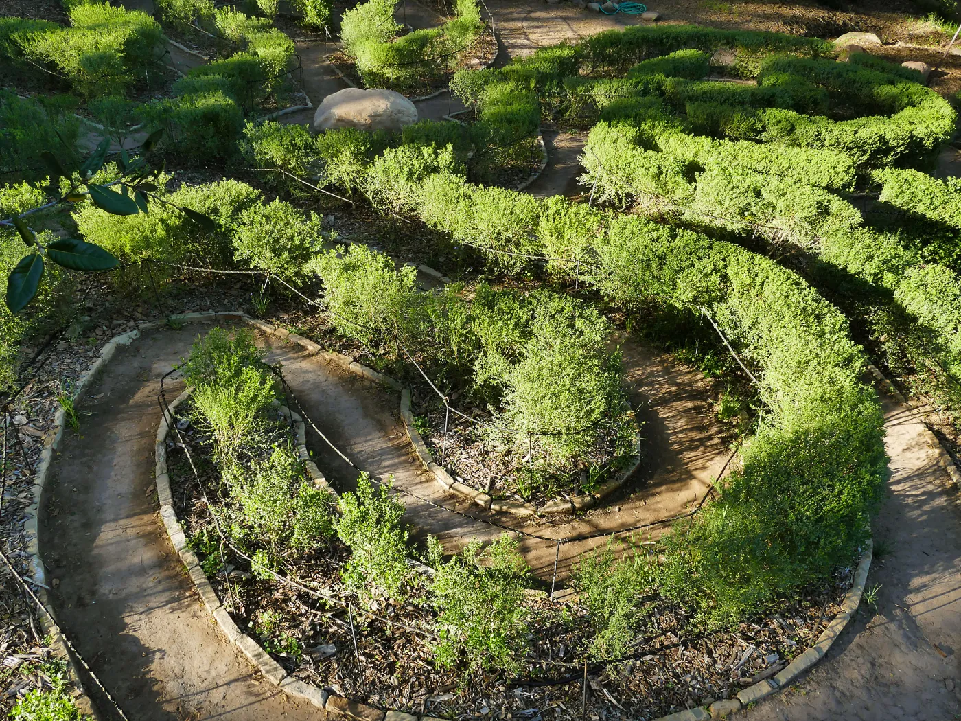 Centennial Maze