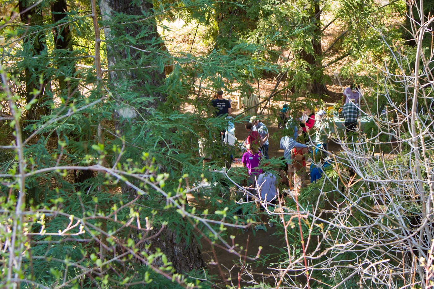 2016 Santa Barbara Beer Garden Event