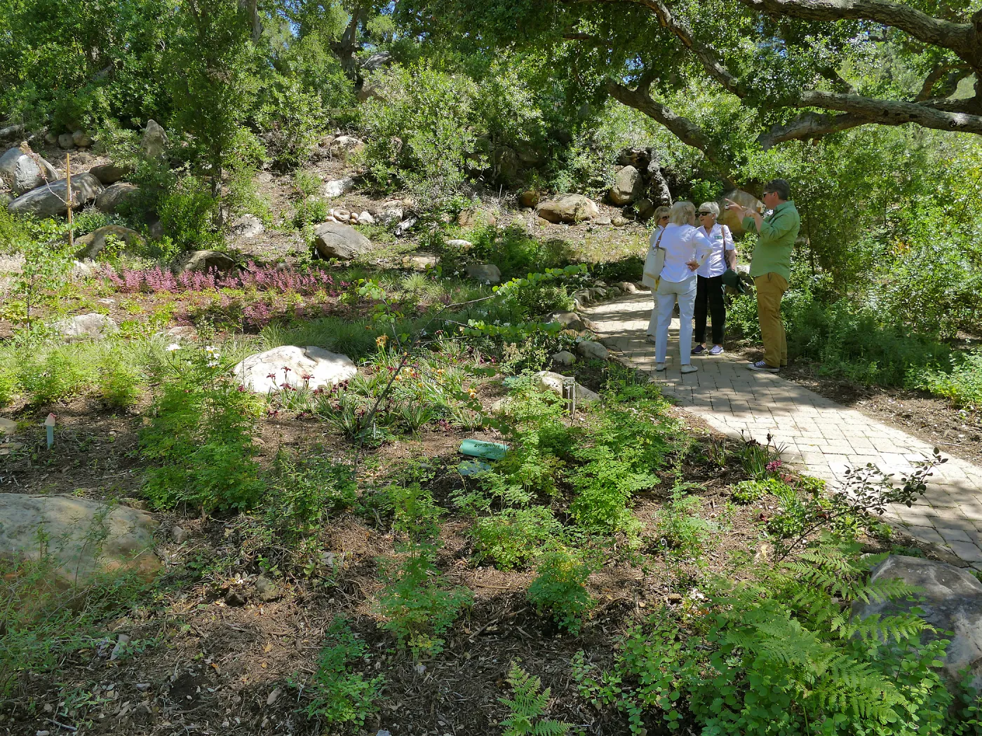 Garden Club of Santa Barbara Centennial Birthday Meeting, Club members visiting the Wooded Dell