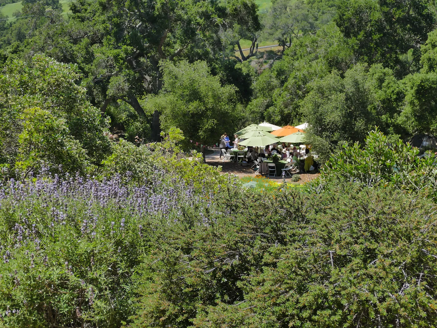 Garden Club of Santa Barbara Centennial Birthday Meeting