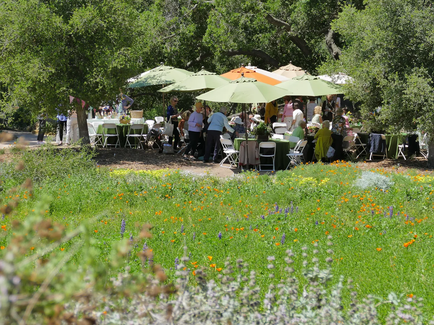 Garden Club of Santa Barbara Centennial Birthday Meeting
