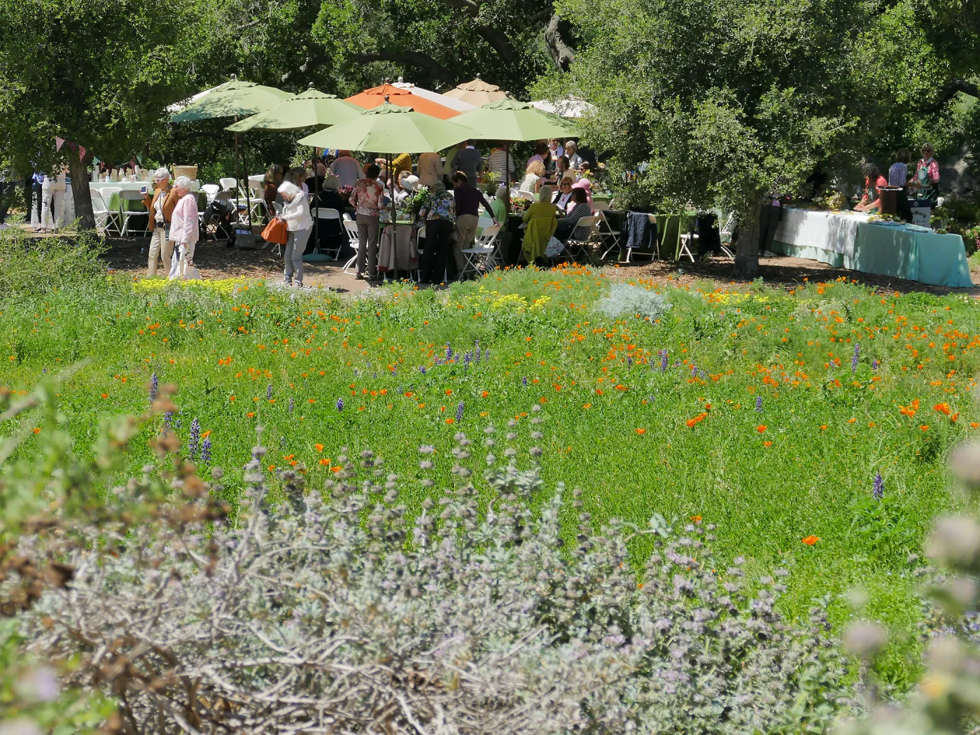 Garden Club of Santa Barbara Centennial Birthday Meeting