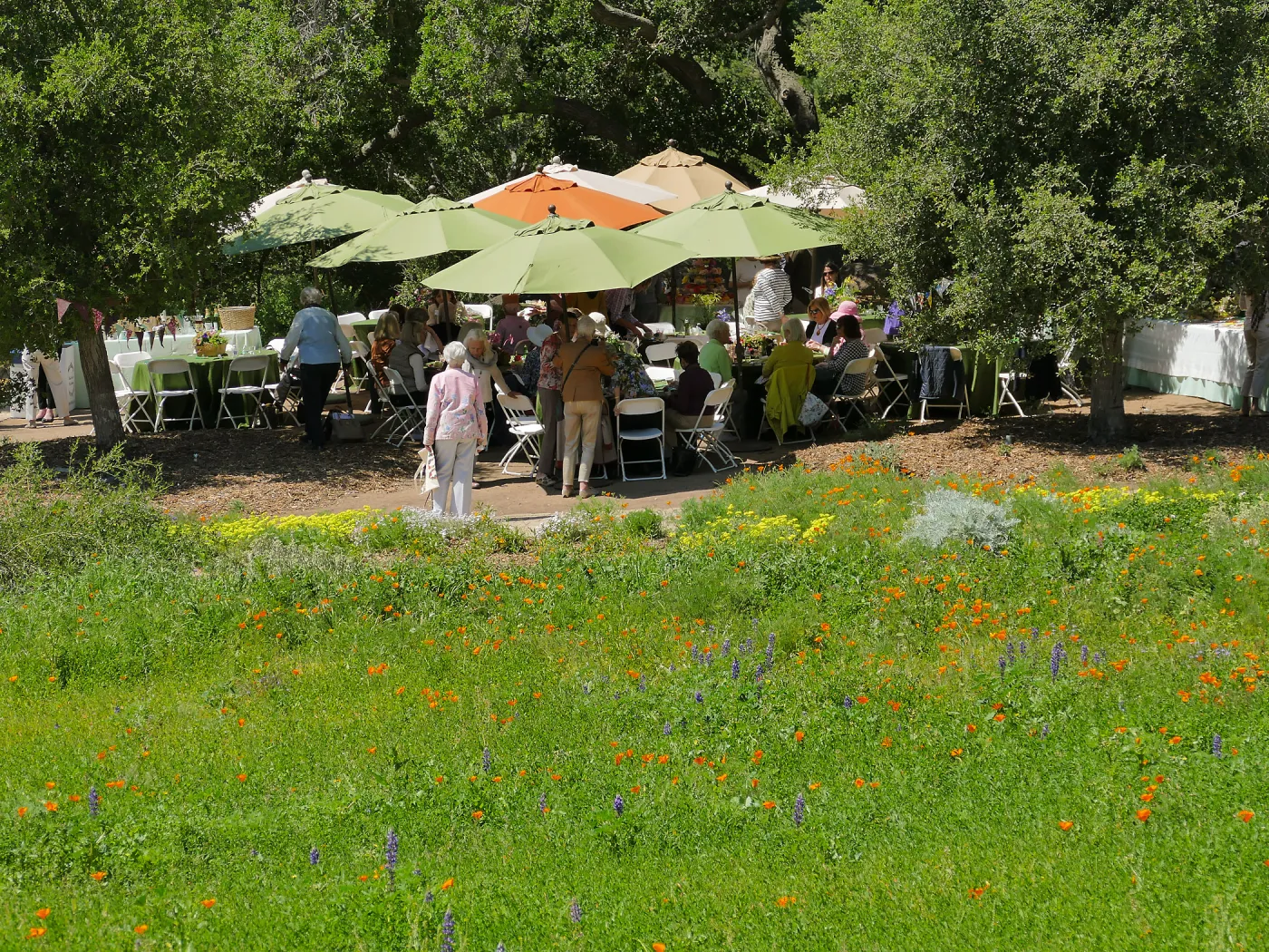 Garden Club of Santa Barbara Centennial Birthday Meeting