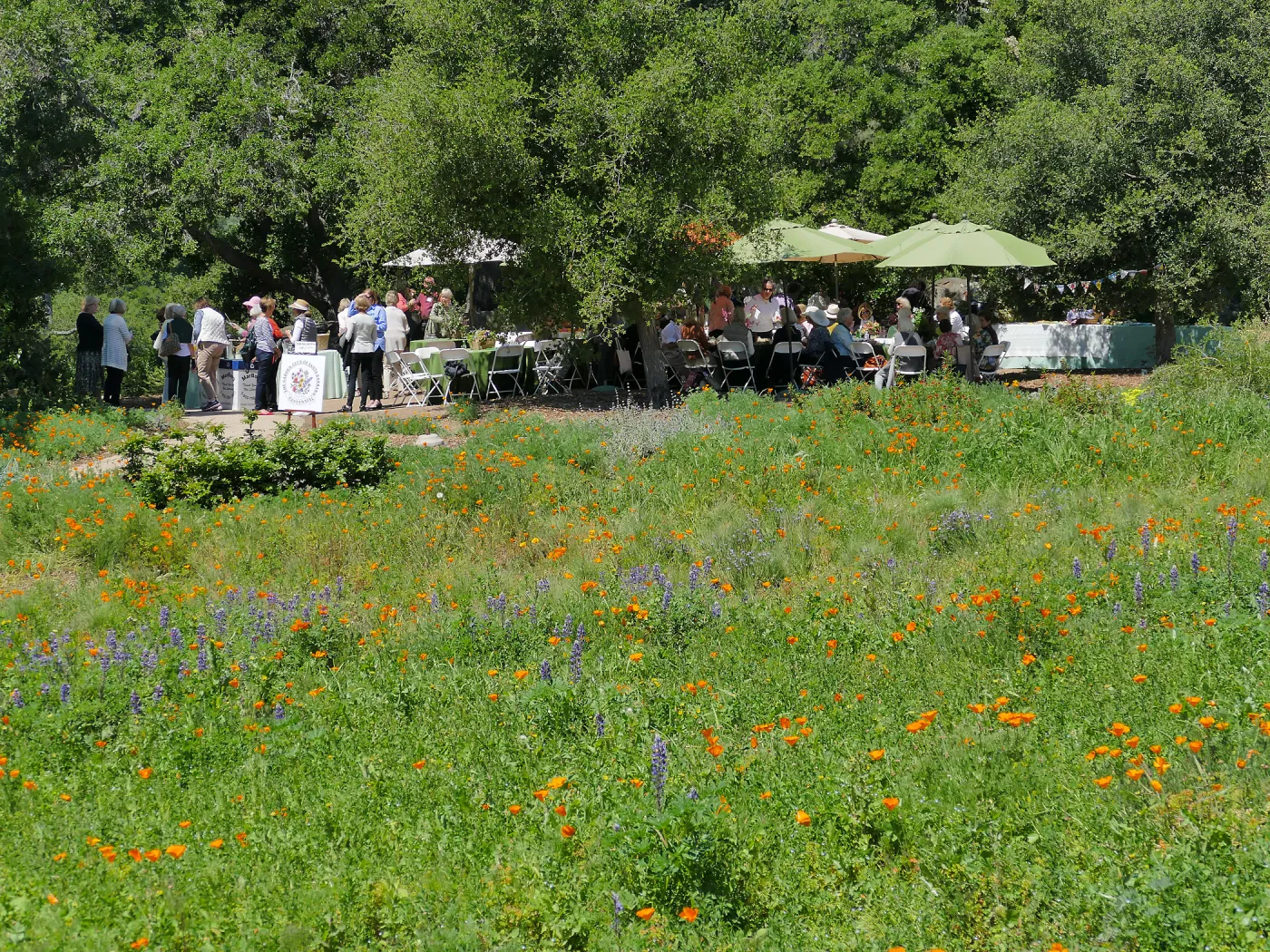 Garden Club of Santa Barbara Centennial Birthday Meeting