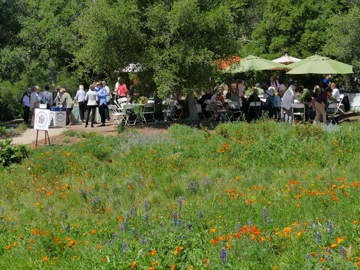 Garden Club of Santa Barbara Centennial Birthday Meeting