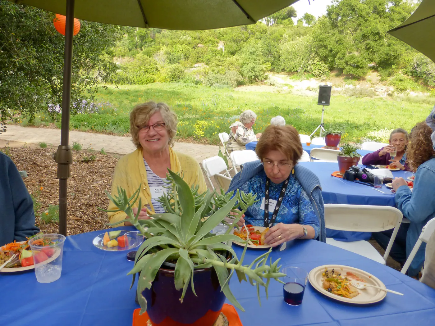Members Picnic 2016, Day 1