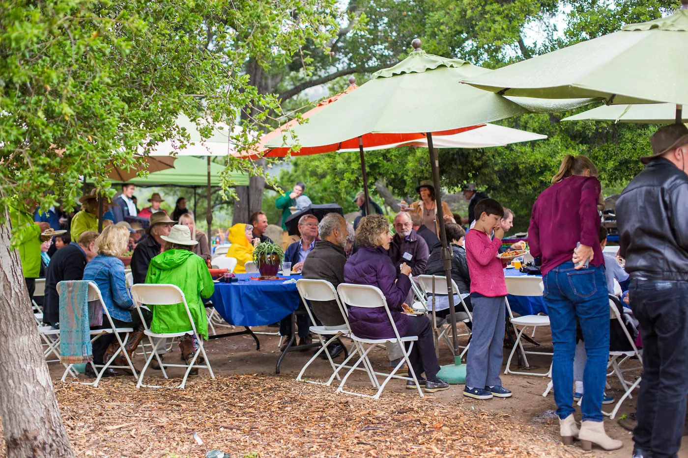 Members Picnic 2016, Day 2