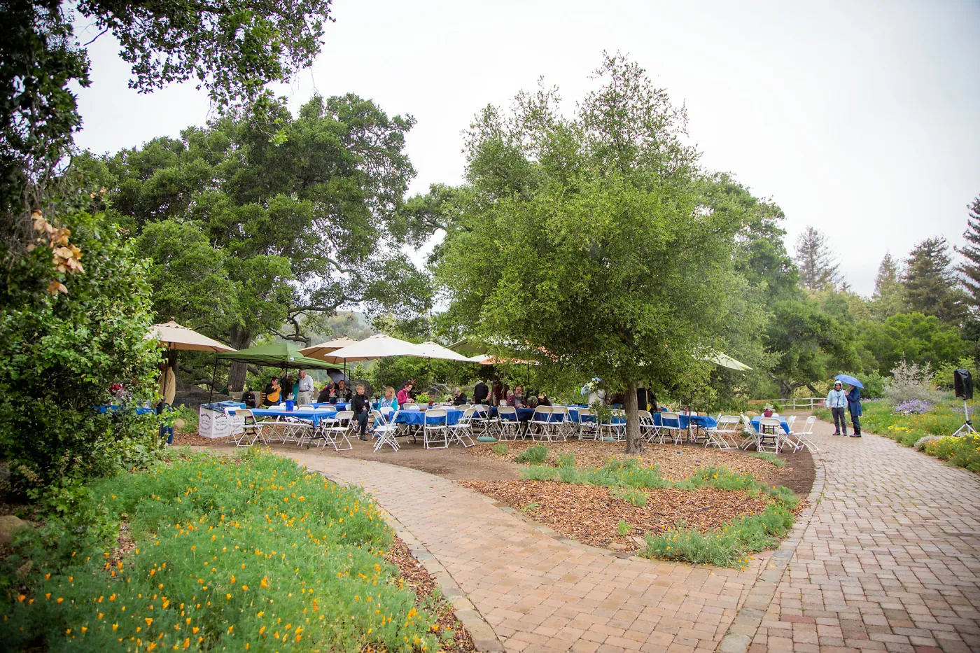 Members Picnic 2016, Day 2