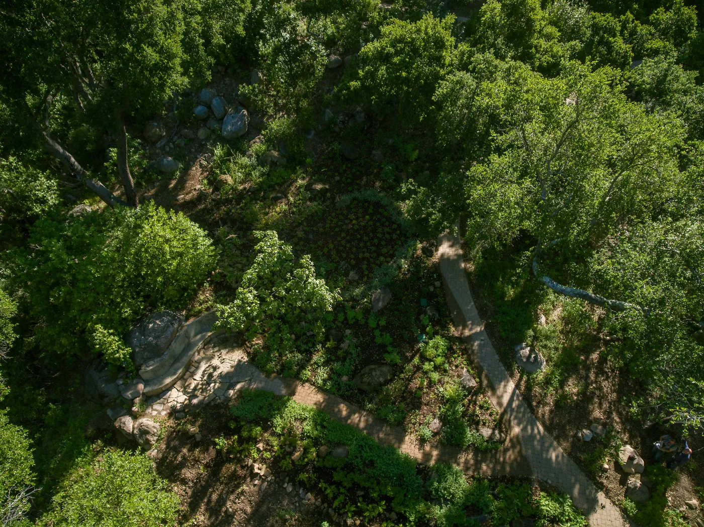 Aerial view of Wooded Dell