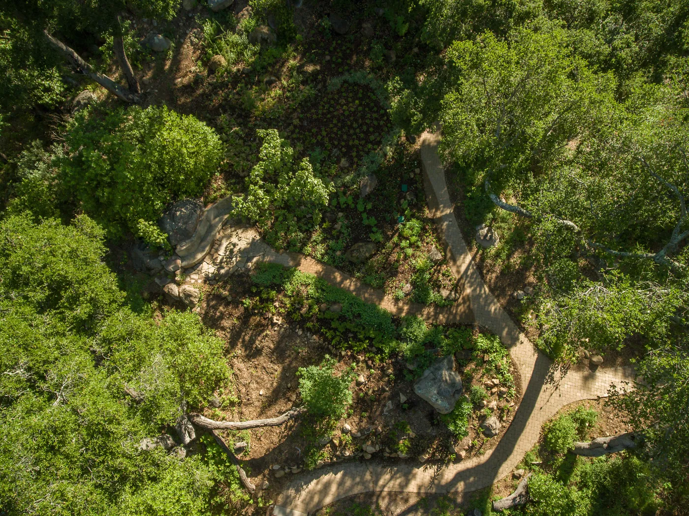 Aerial view of Wooded Dell