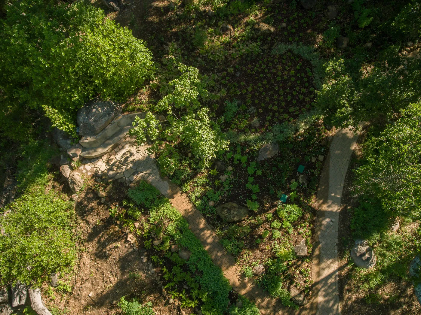 Aerial view of Wooded Dell