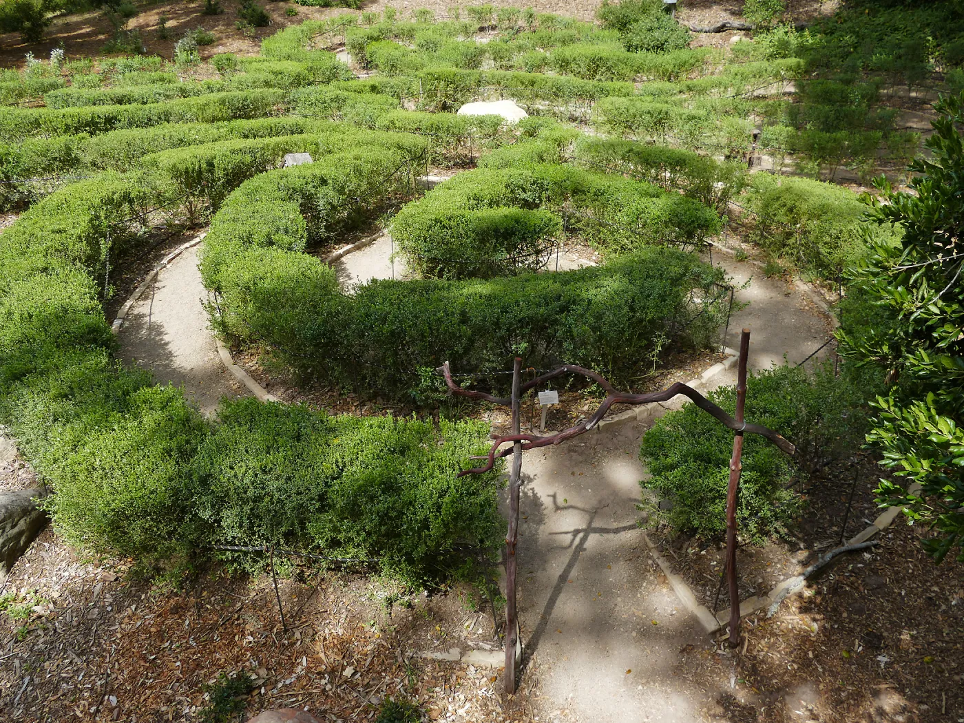 Centennial Maze
