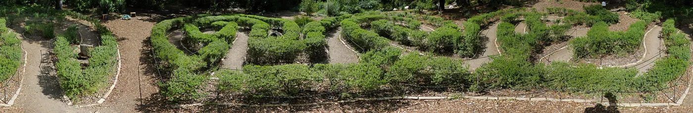 Centennial Maze panoramic view