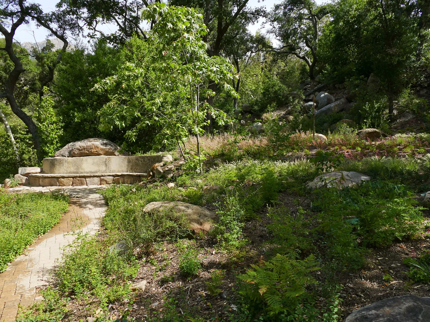 Wooded Dell, Campbell Bench