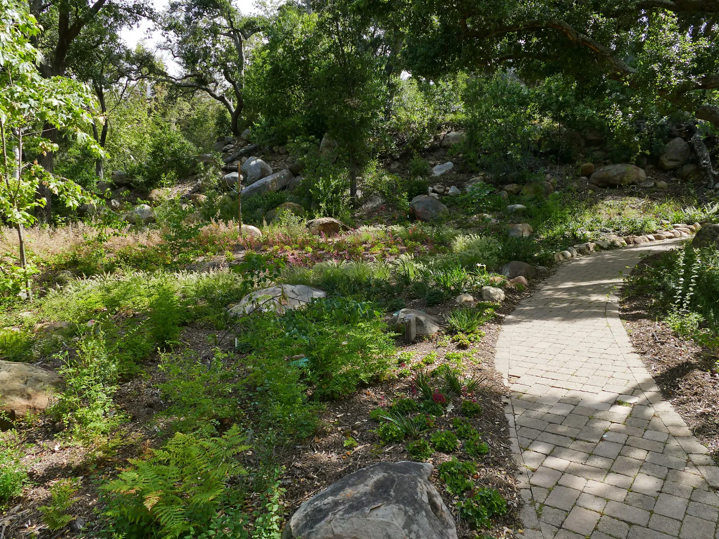 Wooded Dell