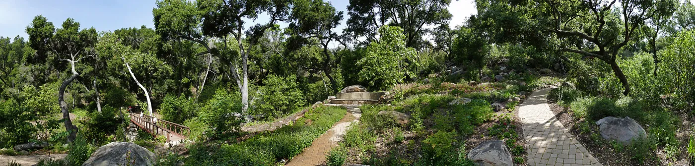 Wooded Dell panorama with Campbell Bridge and Campbell Bench