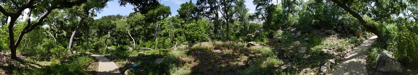 Wooded Dell panorama