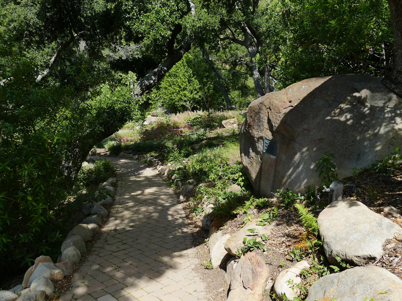 Wooded Dell, looking down Campbell Trail