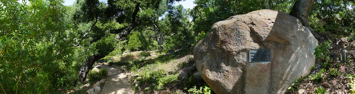 Wooded Dell, panoramic view along Campbell Trail