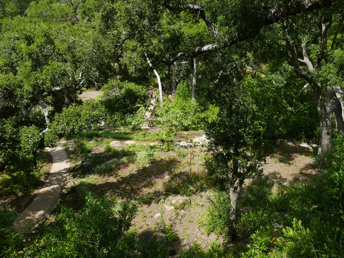 Wooded Dell, view from picnic area