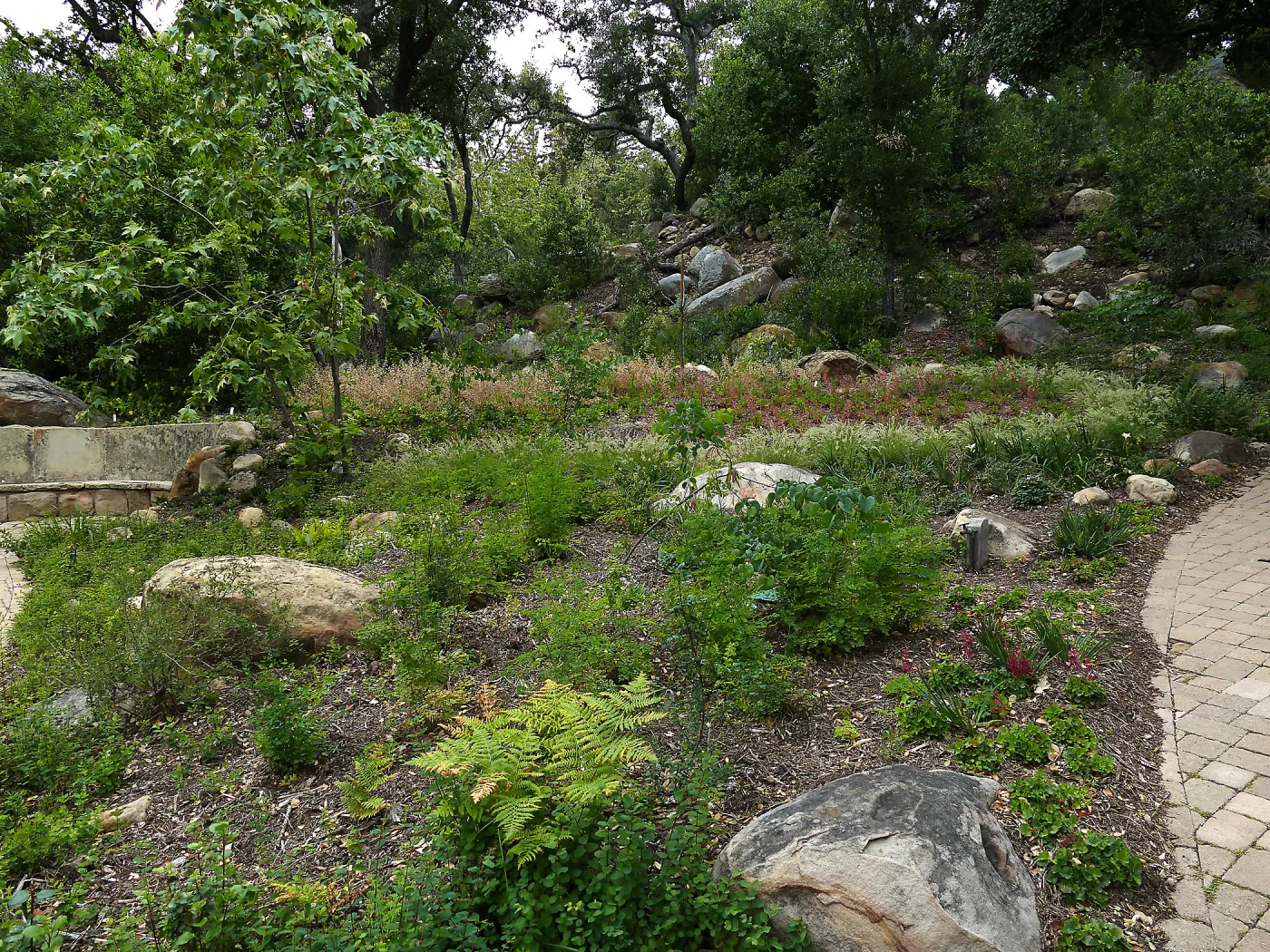Wooded Dell