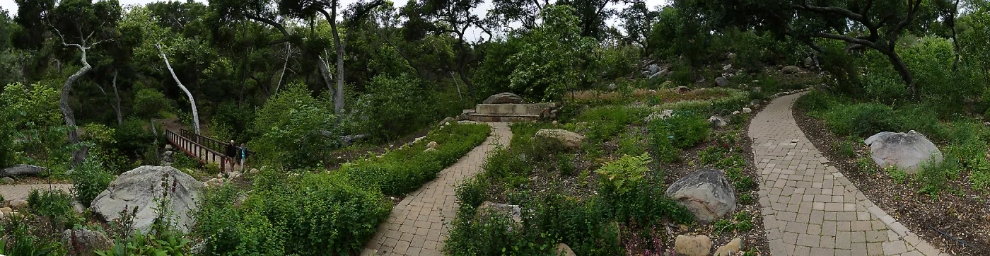 Wooded Dell panorama with Campbell Bridge and Campbell Bench