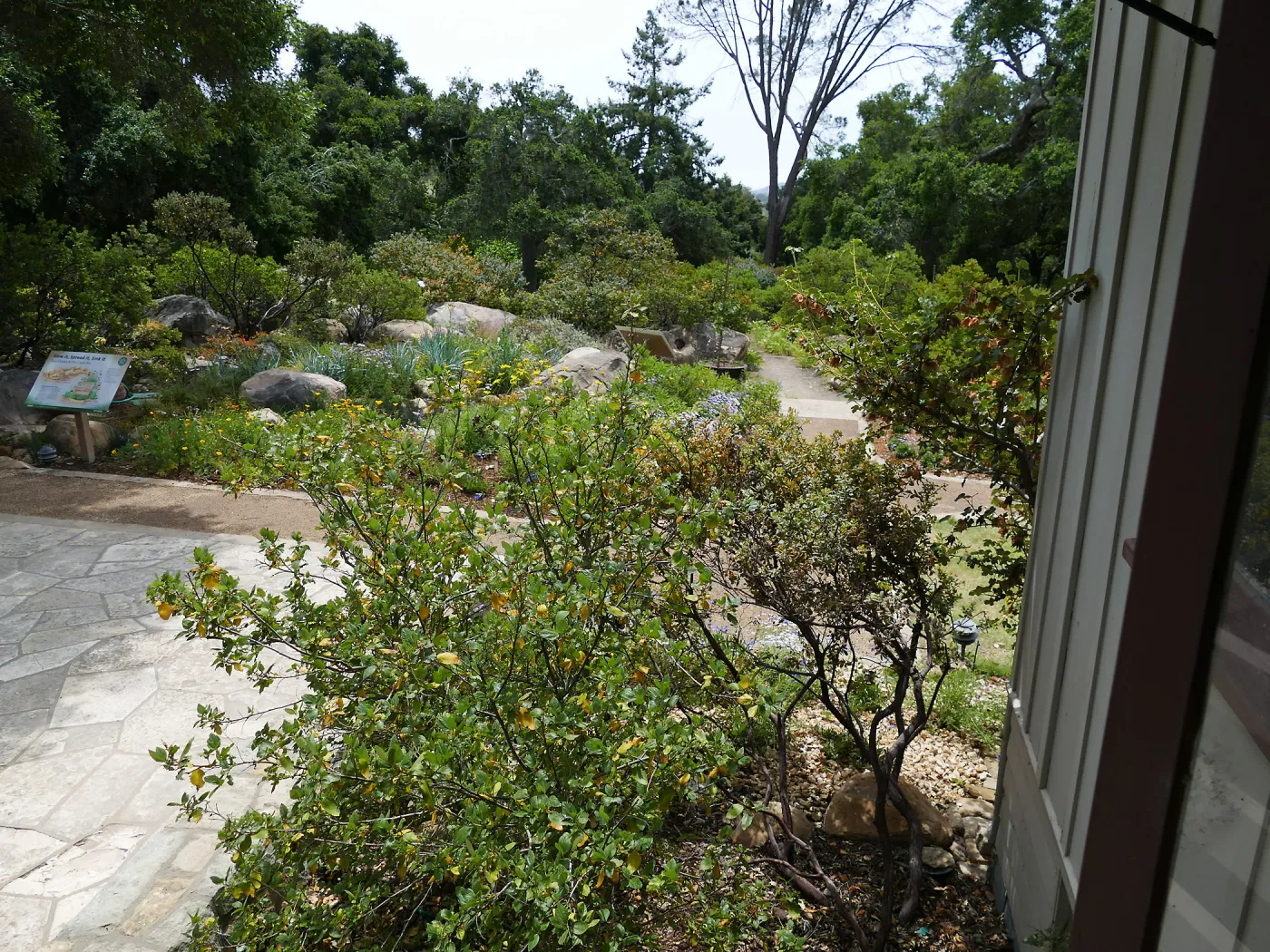 Home Demonstration Garden Renovation, view 18, looking south from south entrance of Cottage