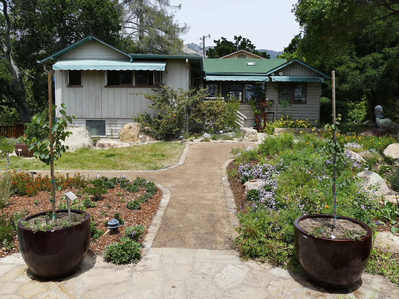 Home Demonstration Garden Renovation, view 22, south side of Cottage