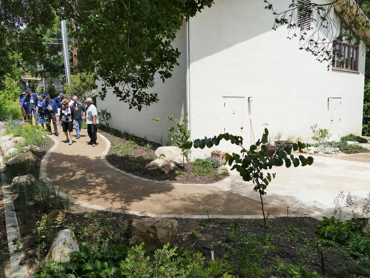 Home Demonstration Garden Renovation, view 31, looking towards southwest corner of Herbarium