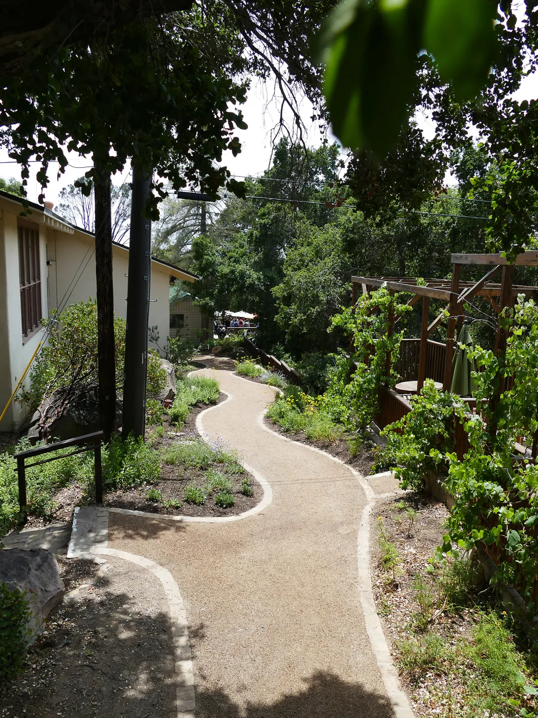 Home Demonstration Garden Renovation, view 33, looking south along path west of Herbarium