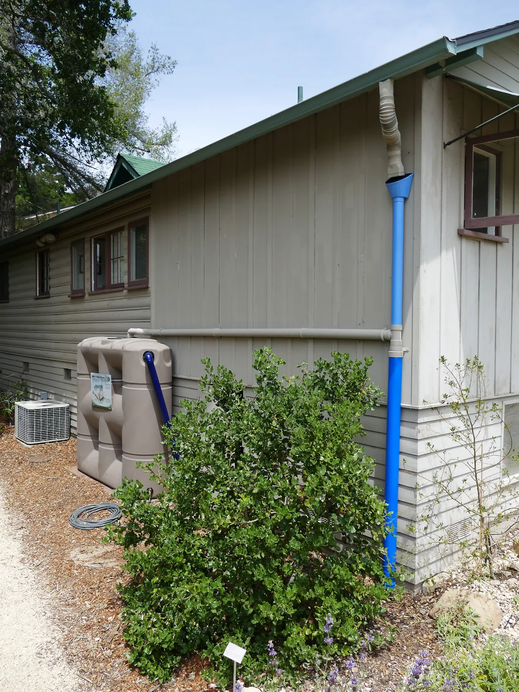 Home Demonstration Garden Renovation, rainwater collection system on west side of Cottage
