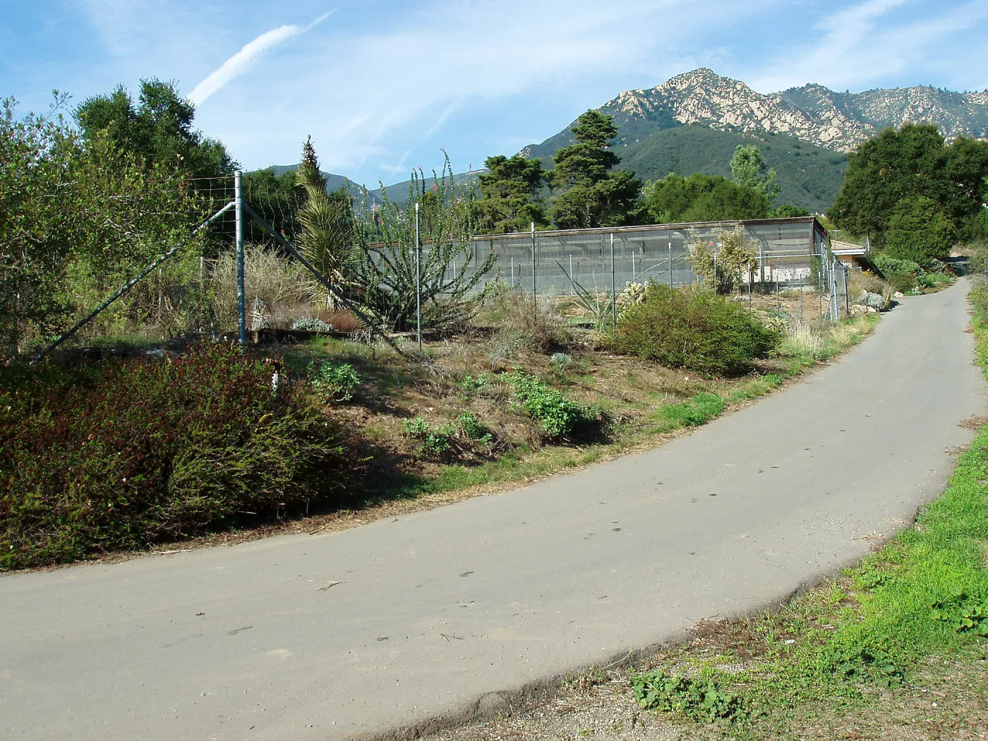 View of canyard from south