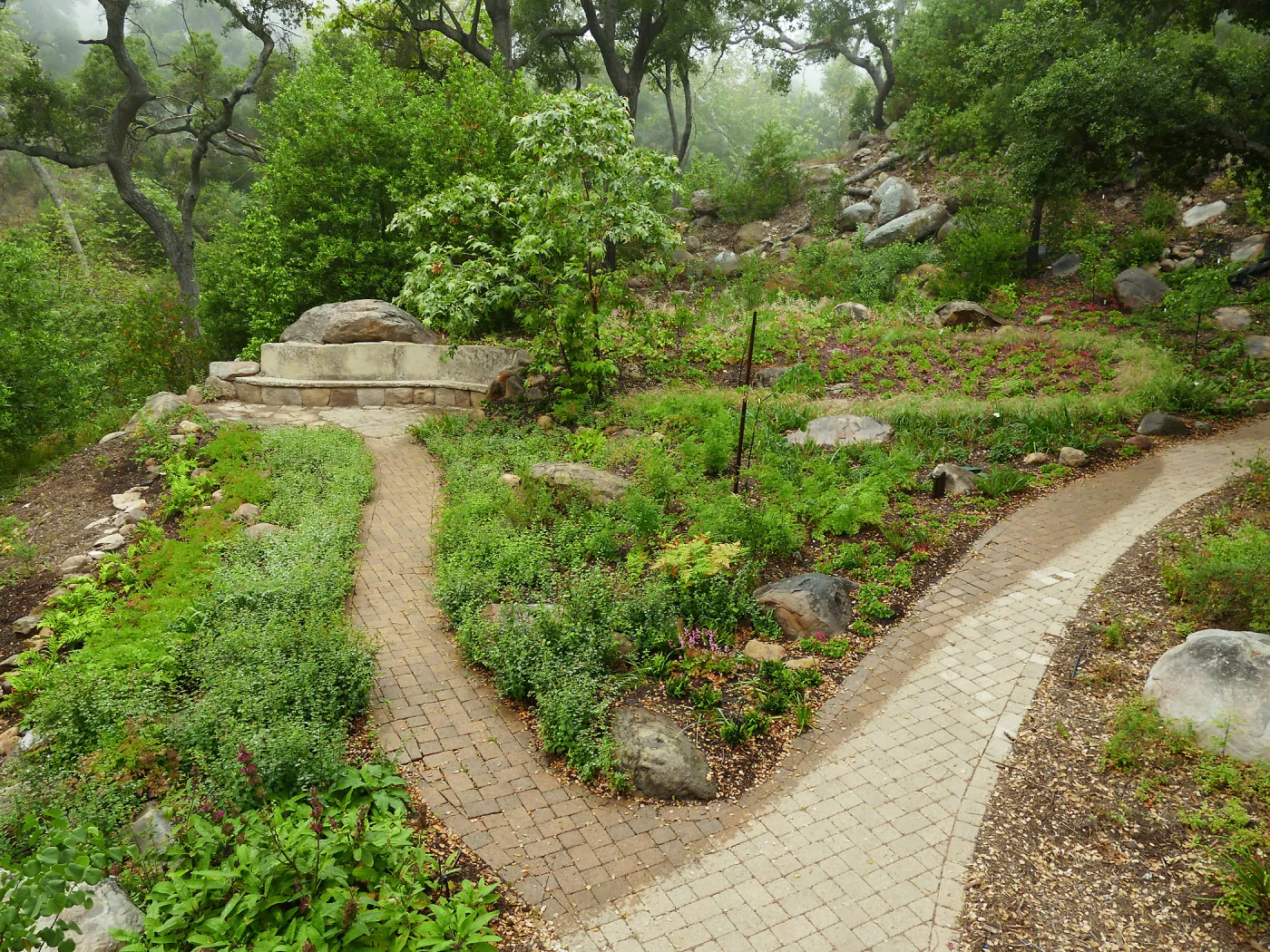 Wooded Dell
