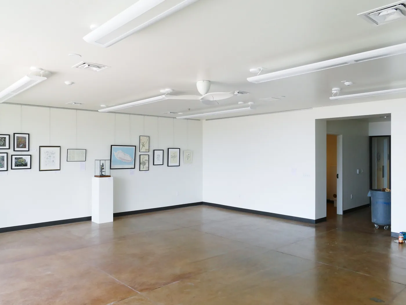 Pritzlaff Conservation Center Construction, Exhibit Room, looking northwest