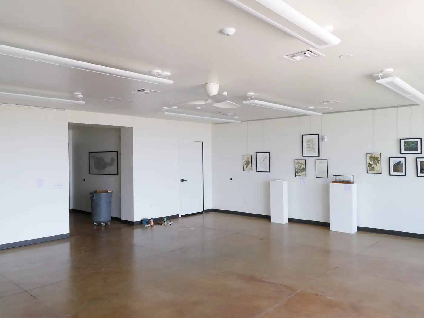 Pritzlaff Conservation Center Construction, Exhibit Room, looking northeast