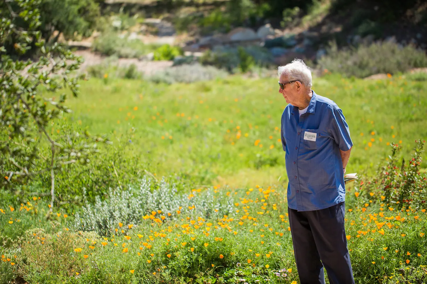 Cultivating the Wild: Native Gardens Tour and 90th Birthday Celebration, Pat Connelly