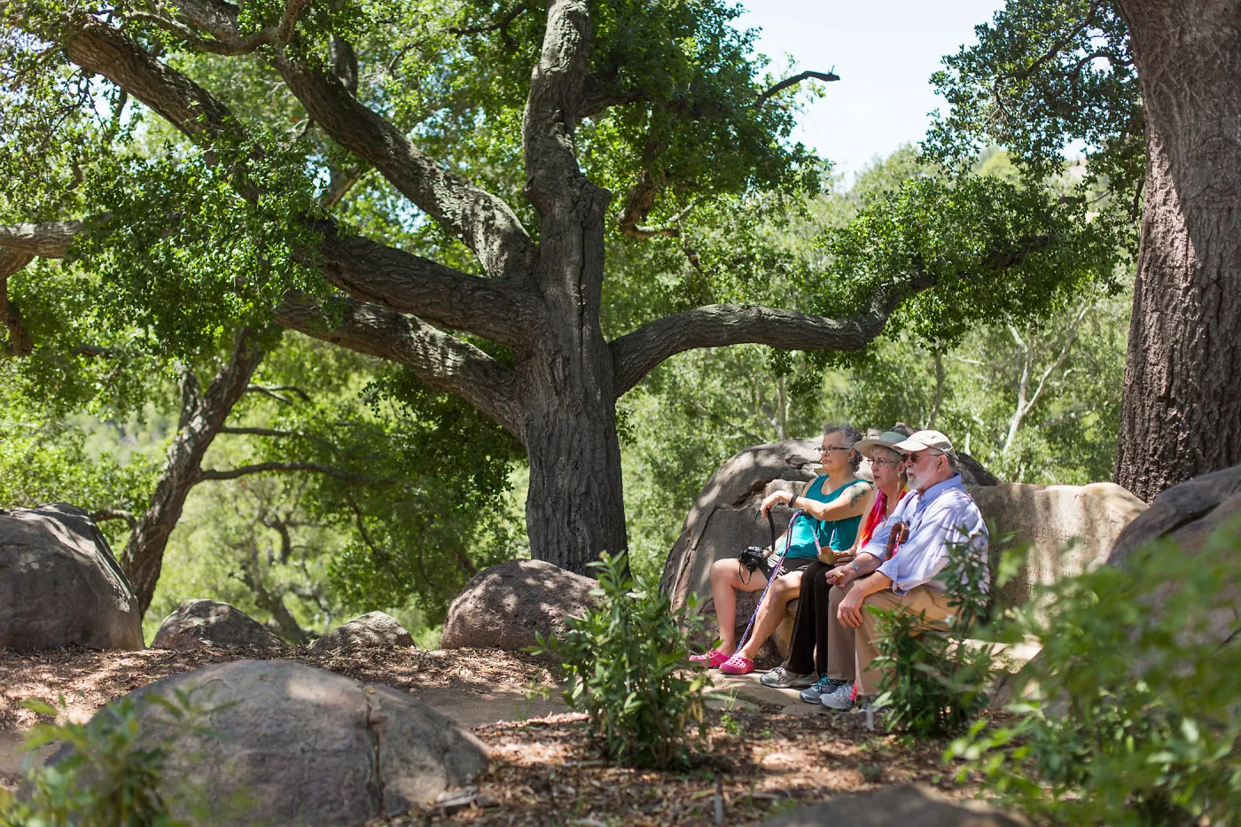 Cultivating the Wild: Native Gardens Tour and 90th Birthday Celebration