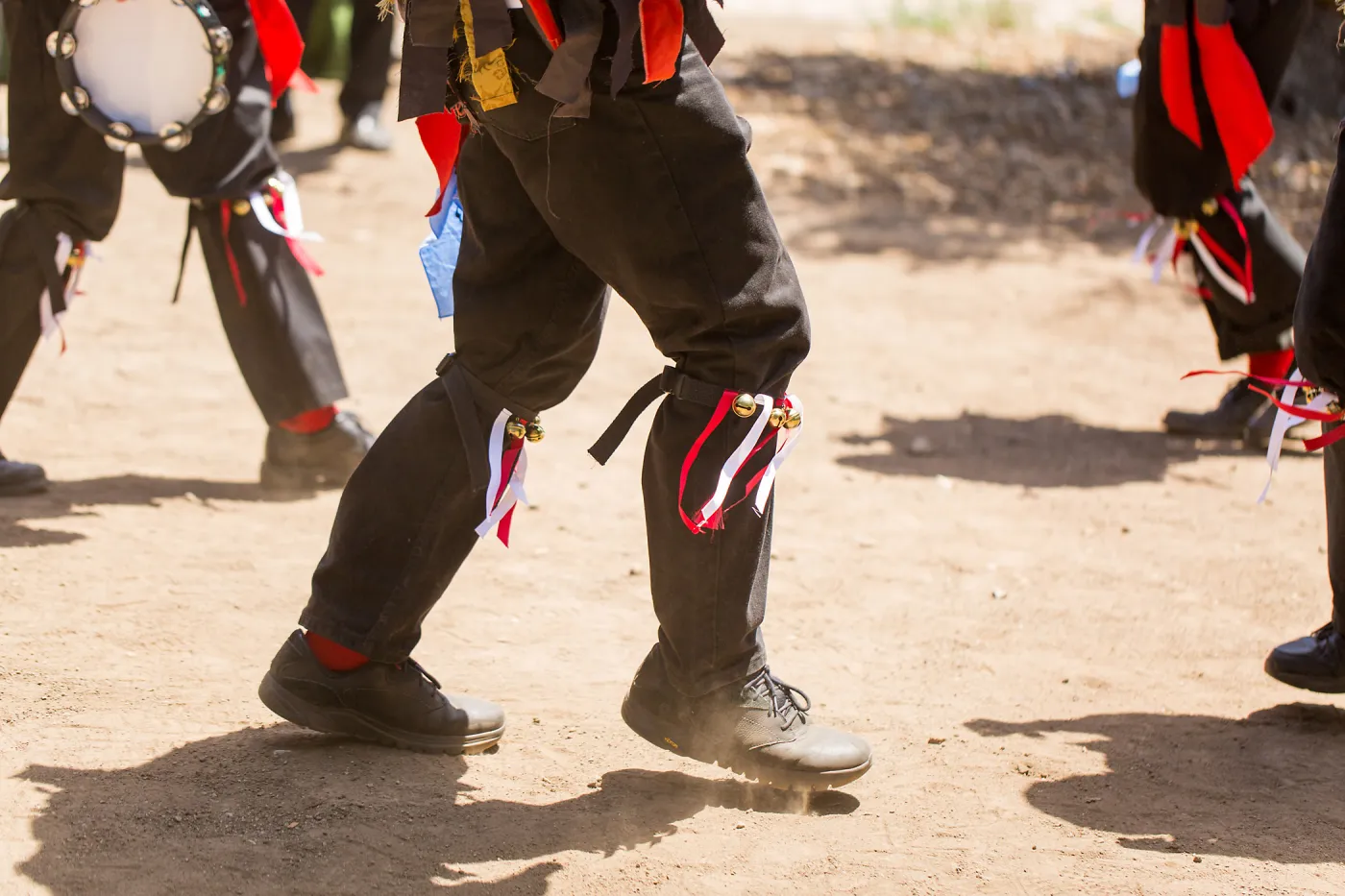 Cultivating the Wild: Native Gardens Tour and 90th Birthday Celebration, Pacific Sword Co. Morris Dancing